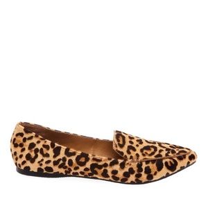 Steve Madden FEATHERL LEOPARD flat